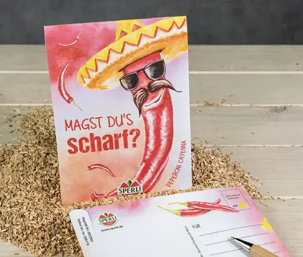 Produktbild einer Sperli Saatgut Postkarte zum Verschicken mit einem gezeichneten Peperoni in Sombrero und Sonnenbrille sowie dem Spruch Magst dus scharf darauf mit einer Sperli Peperoni Cayenna Saattüte und einem Briefumschlag daneben auf einem Holztisch