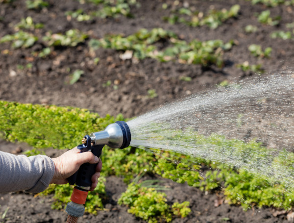 2400-the-gardener-holds-an-irrigation-hose-and-spray-water-in-the-garden