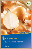 Kiepenkerl Steckzwiebel BIO Sturon