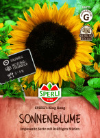 Sonnenblumen SPERLI's King Kong