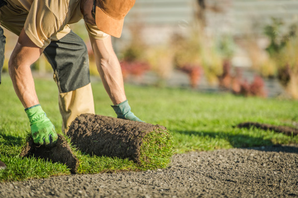 2400-gardener-laying-roll-out-grass