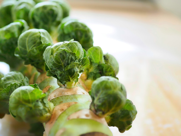 brussels-sprouts-8485752_1920