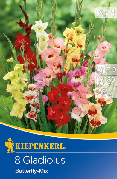 Kiepenkerl Butterfly-Gladiole Mischung
