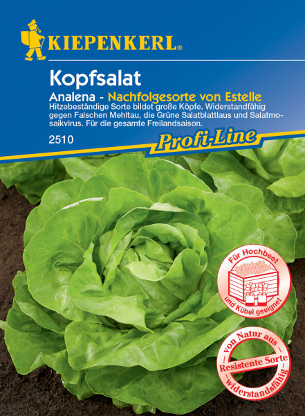 Produktbild von Kiepenkerl Kopfsalat Analena mit Darstellung des Salatkopfes und Informationen zu Hitzebeständigkeit und Eignung für Hochbeet und Kübel auf deutsch.
