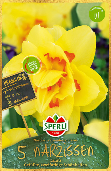 Produktbild von Sperli Premium Gefüllte Narzisse Tahiti, Packung mit 5 Narzissenknollen, ausgezeichnet als Blumenzwiebel des Jahres 2018, Informationen zu Pflanzenhöhe und Blütezeit auf Deutsch.