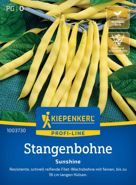 Kiepenkerl Stangenbohne Sunshine