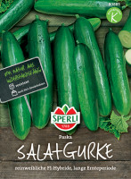 Sperli Salatgurke Paska, F1
