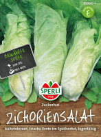 Sperli Zichoriensalat Zuckerhut