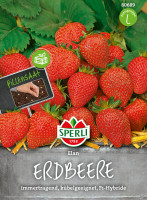 Sperli Erdbeere Elan, F1, Pillensaat