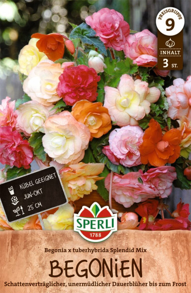 Produktbild von Sperli Begonie Splendid Mix mit Blumen in verschiedenen Farben Informationen zur Pflanzzeit und Wuchshöhe sowie Logo und Marke