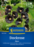 Kiepenkerl Stockrose Nigra