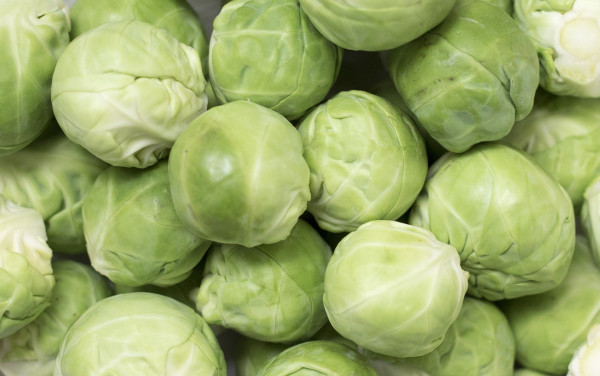 brussels-sprouts-2841582_1920