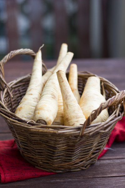 parsnip-5700588_1920