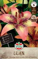 Sperli Lilie Tribal Dance