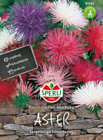 Sperli Aster Riesenstrahlen-Mischung