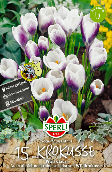 Produktbild von Sperli Wildkrokus Prins Claus mit 15 Krokusknollen im Blütenstand und Verpackungshinweisen wie Kübel geeignet und Verwilderung sowie der Blütezeit von Februar bis März.