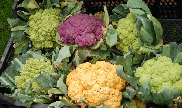 cauliflower-59097_1280