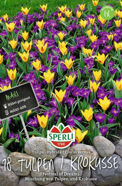 Produktbild von Sperli Maxi Festival of Dreams mit Darstellung von 18 gelben und violetten Tulpen und Krokussen sowie Produktinformationen und Markenlogo.