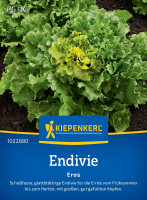 Kiepenkerl Endivie Eros