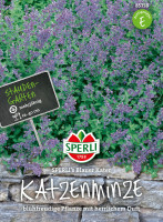 Sperli Katzenminze SPERLI's Blauer Kater