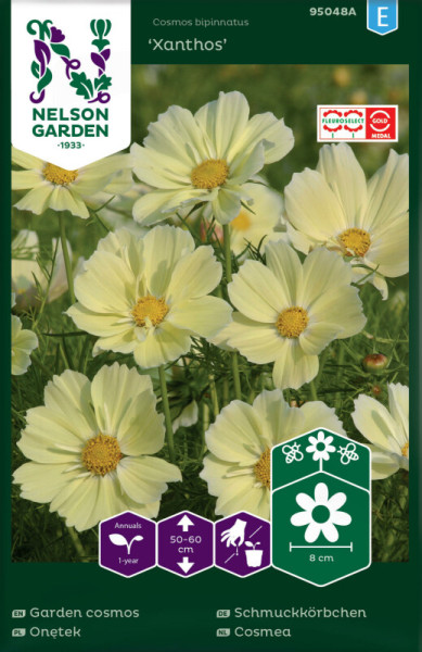 Produktbild von Nelson Garden Schmuckkoerbchen Xanthos Samenpackung mit Bildern von hellgelben Blumen und Informationen zu Wuchshoehe und Bluetendurchmesser.