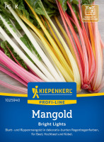 Kiepenkerl Mangold Bright Lights