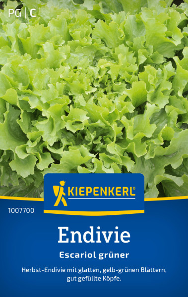 Kiepenkerl Endivie Escariol grüner