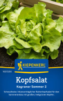 Kiepenkerl Kopfsalat Kagraner Sommer 2