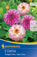 Kiepenkerl Dahlienduett Twilight Time und Lilac Time