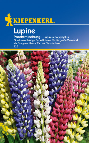 Produktbild von Kiepenkerl Lupine Prachtmischung mit Darstellung verschiedener farbiger Blüten und Produktinformationen auf Deutsch.