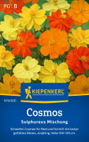 Kiepenkerl Cosmos Sulphureus Mischung