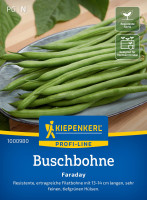 Kiepenkerl Buschbohne Faraday