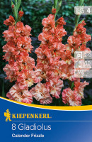 Kiepenkerl Frizzled Gladiole Calender Frizzle