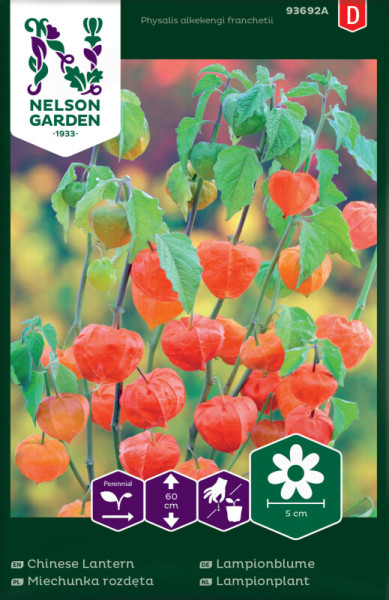 Produktbild von Nelson Garden Lampionblume Saatgutverpackung mit Darstellung der Pflanze und deutschen sowie internationalen Bezeichnungen.