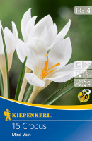 Kiepenkerl Botanischer Krokus Miss Vain