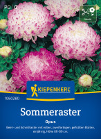 Kiepenkerl Sommeraster Opus