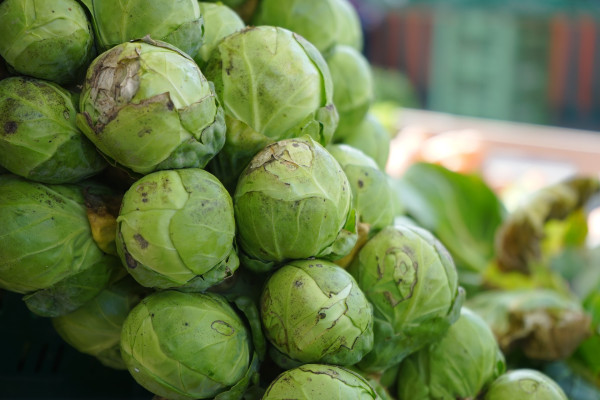 brussels-sprouts-318200_1920