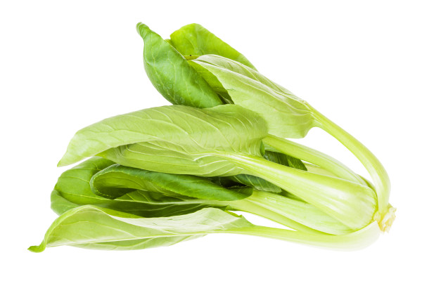 2400-fresh-bok-choy-pak-choi-chinese-cabbage-isolated