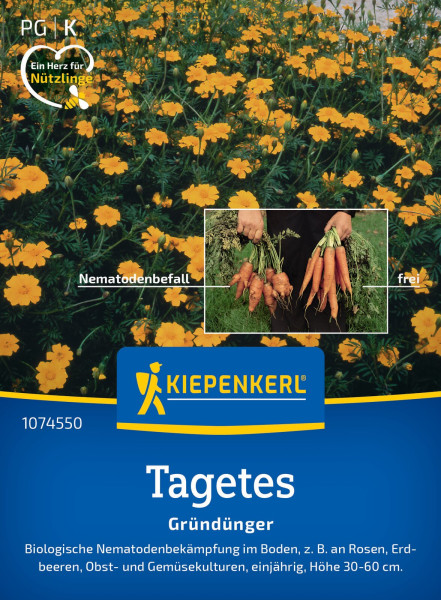 Kiepenkerl Nematodenkiller-Tagetes Single Gold