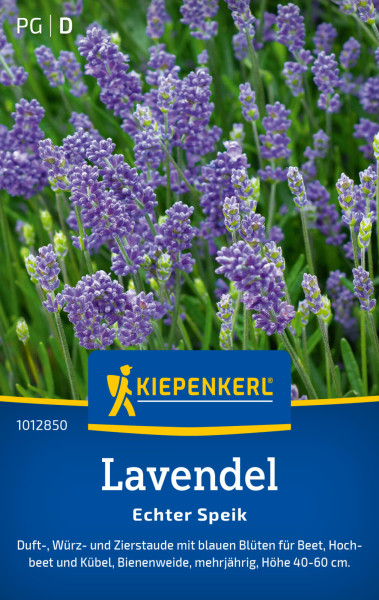 Kiepenkerl Lavendel Echter Speik