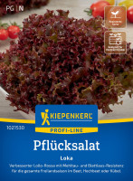 Kiepenkerl Pflücksalat Loka