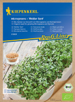 Kiepenkerl BIO Microgreens Weißer Senf