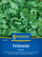 Kiepenkerl Feldsalat Accent