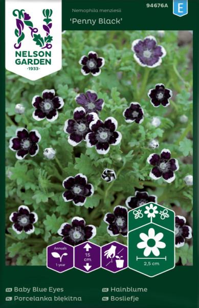 Produktbild von Nelson Garden Hainblume Penny Black mit der Pflanze und Verpackungsinformationen wie Wuchshöhe und Blütengröße in mehreren Sprachen.