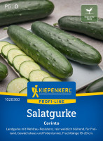 Kiepenkerl Salatgurke Corinto F1