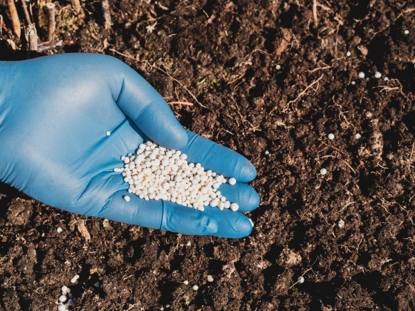 2400-the-application-of-nitrogenous-fertilizers-in-soil-in-early-spring-plant-care