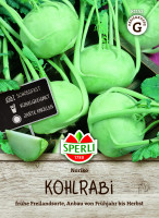 SPERLI Kohlrabi Noriko
