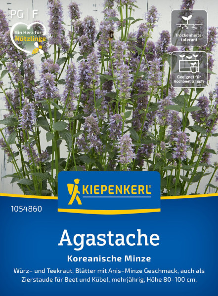 Kiepenkerl Agastache Koreanische Minze