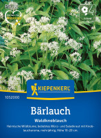 Kiepenkerl Bärlauch Waldknoblauch