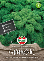 Sperli Grünkohl Halbhoher grüner krauser